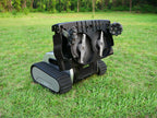 Robotic Lawn