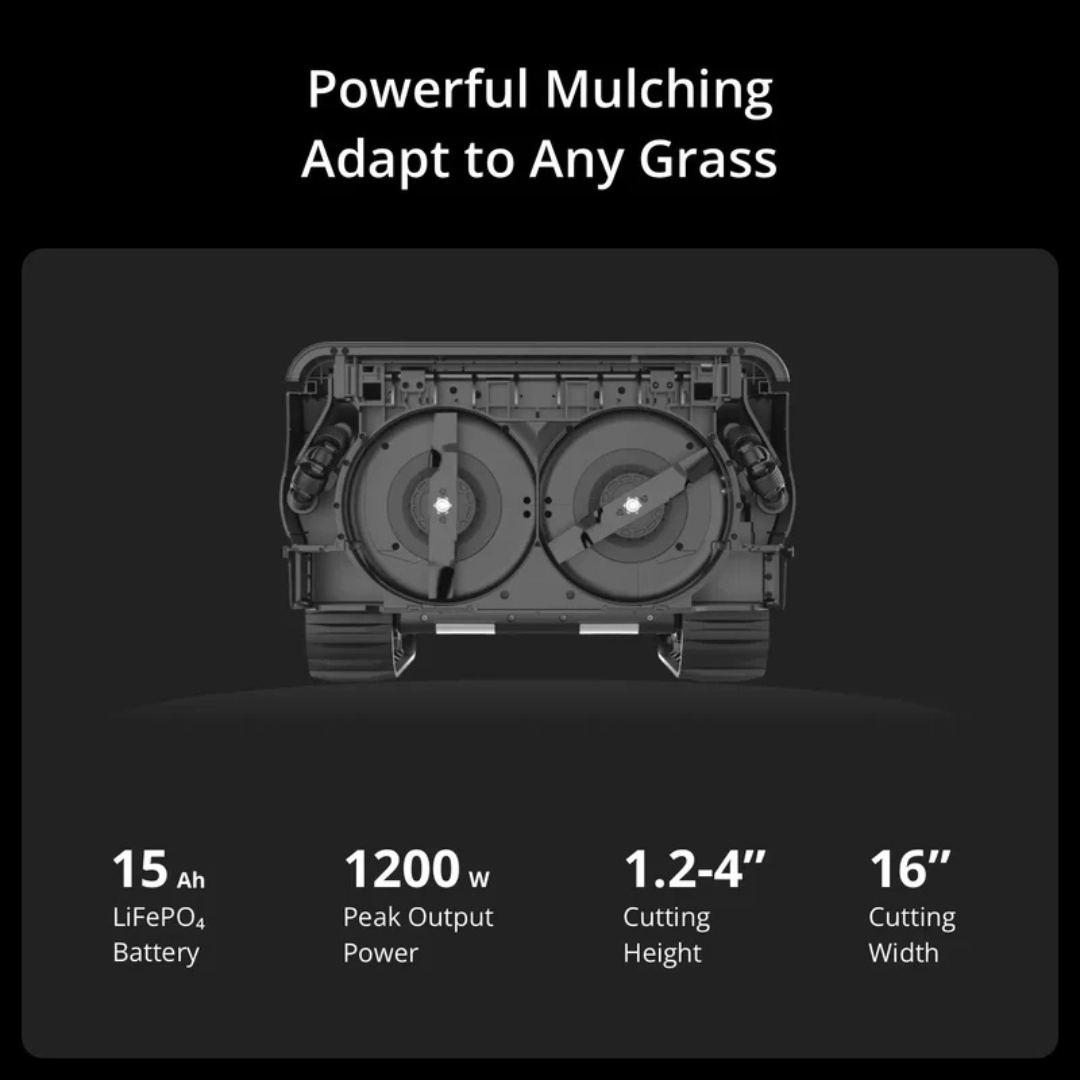 Robotic Lawn