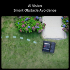 Robotic Lawn