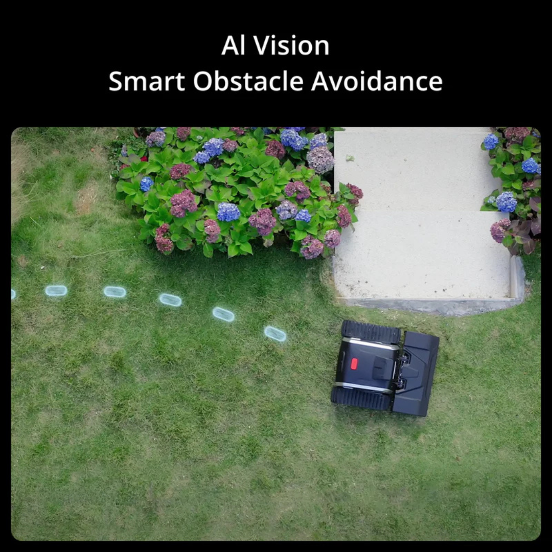 Robotic Lawn